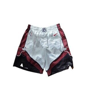 Nike Chicago Bulls 2022/23 City Edition Swingman Shorts NBA 42/XL